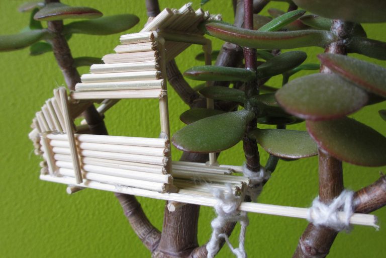 Build your own mini-treehouse: a step-by-step guide